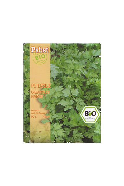 Petersilie Grüne Perle, BIO Petersilie Grüne Perle, BIO